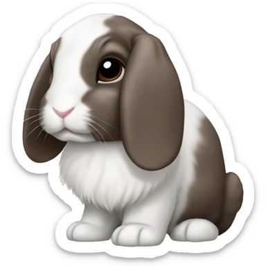 lop rabbit with dark brown ears and nose sticker