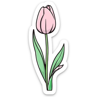 Single soft pink tulip with watercolor petals, clean white background, green stem, and curved soft leaves, elegant hand-painted style sticker