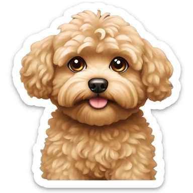 brown maltipoo  sticker