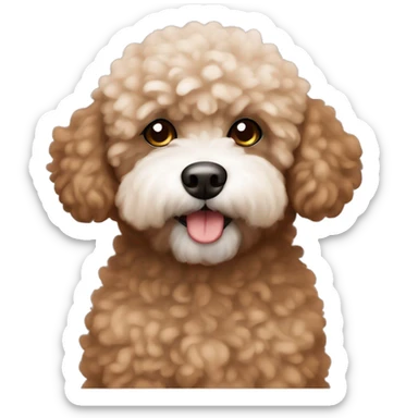 brown bichpoo with a little bit of white fur around nose only sticker