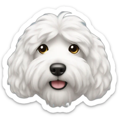 Coton de Tuléar sticker