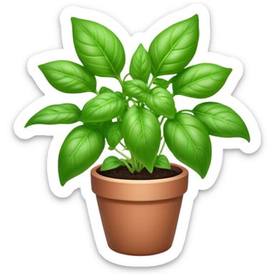 Cinematic Realistic Basil Emoji, Lush and fragrant, with vibrant green leaves that release a fresh, herbal aroma. The soft, glossy leaves are delicately arranged along slender stems, exuding vitality and flavor. Soft glowing outline, capturing the essence of freshness, growth, and aromatic delight in a blossoming basil plant! sticker