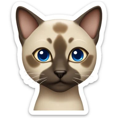 Dark Brown face - beige body female thai cat with blue eyes  sticker