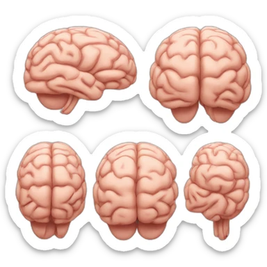 brain-without-wrinkles sticker