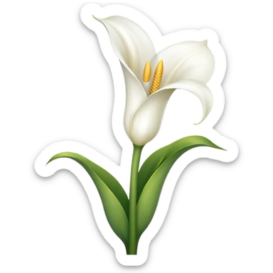 Cala Lily  sticker