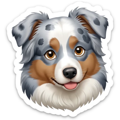Australian Shepherd, blue merle ￼ sticker