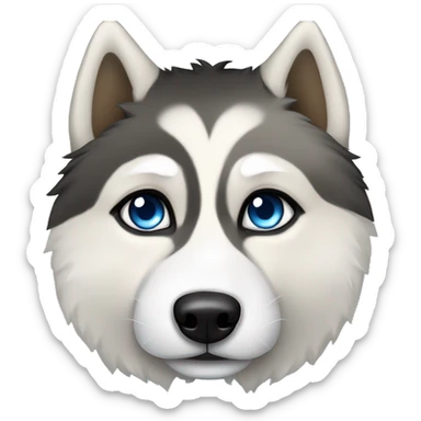 The face of a black, white, and tan Fluffy Siberian husky with blue eyes. Tan above the eyes and on the side of the face. White around the nose and up between the eyes. Black surrounding the areas sticker