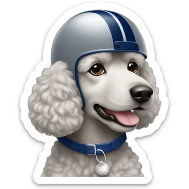 Poodle wearing a grey football helmet with dark blue stripe sticker