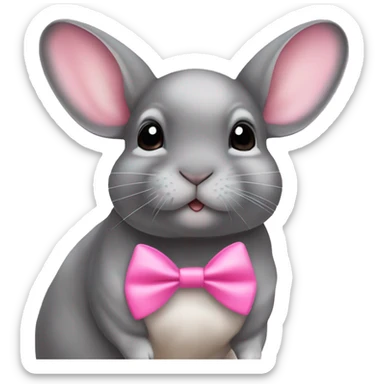Chinchilla name Ariya with a bow pink sticker