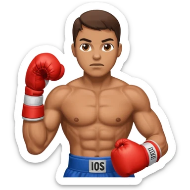 Boxing sticker