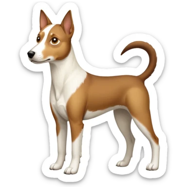 a full body large white parson russell looking dog the size of a kelpie with light brown flapped down ears and a light brown patch on one eye and a large snout sticker