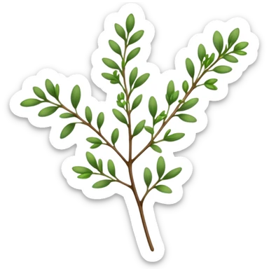 Cinematic Realistic Thyme Emoji, Compact and earthy, with tiny green leaves densely packed on delicate stems. The soft fragrance of the leaves fills the air, creating an atmosphere of warmth and subtle richness. Soft glowing outline, capturing the essence of simplicity and natural healing in a sprig of thyme! sticker