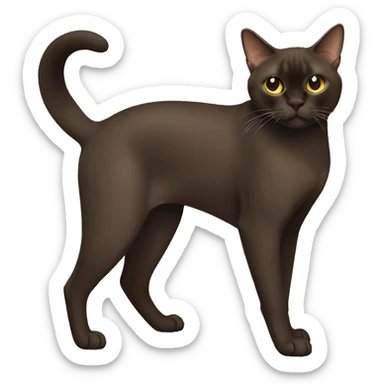 dark brown Burmese Cat Full Body sticker