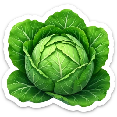 cabbage sticker