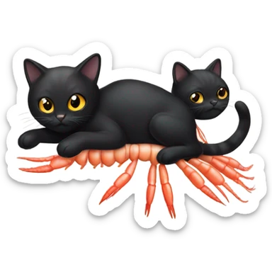 black cat in a shrimps body  sticker