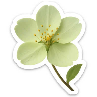 show  one green cherry blossom, remove background sticker