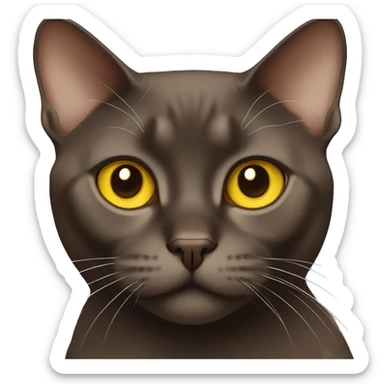 A chocolate-colored Burmese cat with yellow eyes sticker