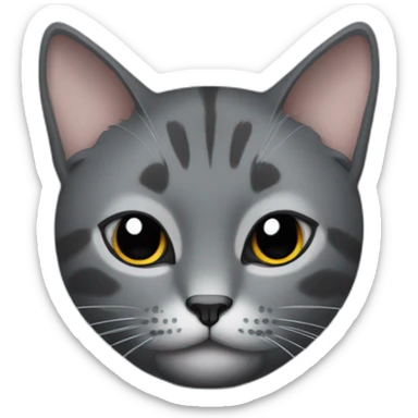 grey and black cat with one eye bigger than the other sticker