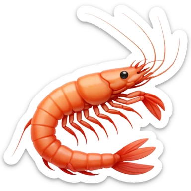 White shrimp  sticker