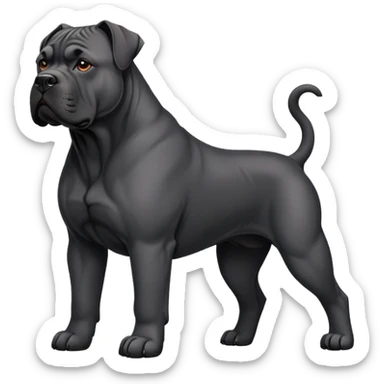 black Cane Corso dog with cropped ears and short tail sticker