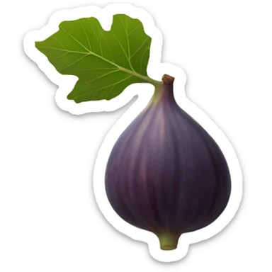 fig the fruit sticker