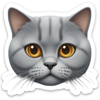 British short hair sticker