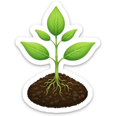 A tiny two leaf seedling coming out of a seed without any mud or gravel just a seed sticker