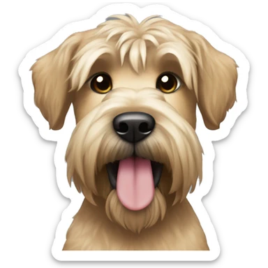 Wheaten terrier with long lighter color hair, darker color ears and black chin sticker