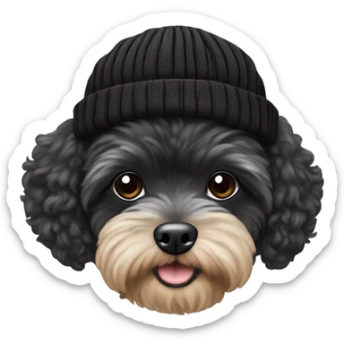tiny black maltipoo with a beanie hat sticker