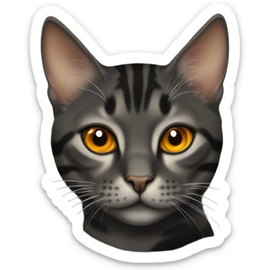 Black Smokey tabby with gold/orange eyes sticker