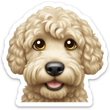 Cream Cockapoo sticker
