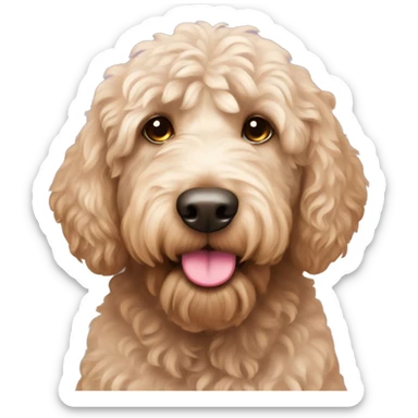 Labradoodle with very pink nose sticker