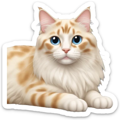 flame point ragdoll cat laying down sticker