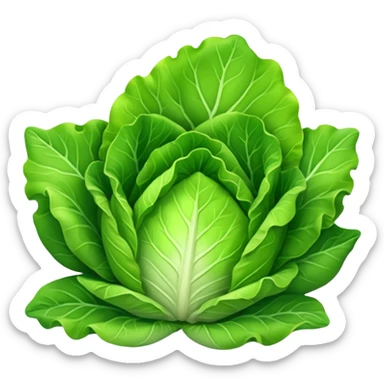 lettuce vegetable sticker