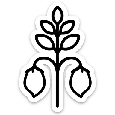 a chickpea plant with pods, line art style sticker