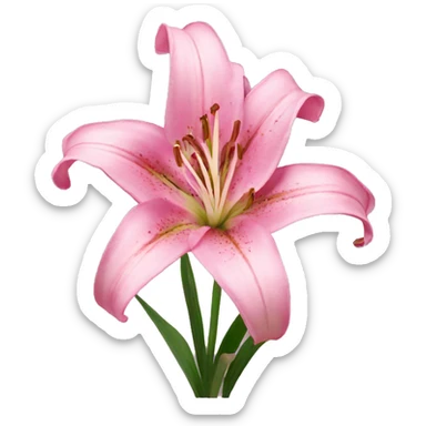 pink lily sticker