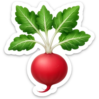 the actual radish compared to the leaves needs to be smaller, radish UK plant with a bit of white on the bottom of the radish sticker