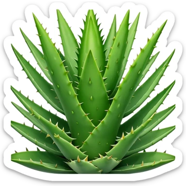 High Aloe vera plant with who name is Aloar sticker