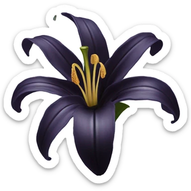 Black lily  sticker