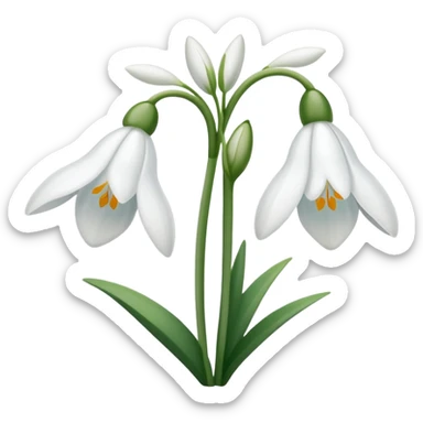 snowdrop flower sticker