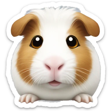 White Guinea pig Looks Like a teddybear with Brown nose  sticker