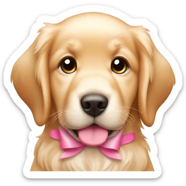 female golden retriever puppy with pink bows on head and ear sticker