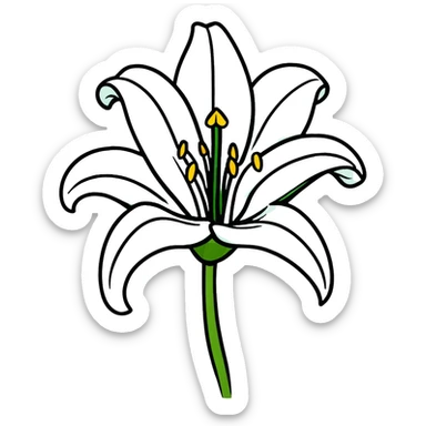 Pure white lily flower with accurate six-petal structure, visible stamens, and green foliage sticker