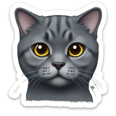 Dark grey scottish fold cat  sticker