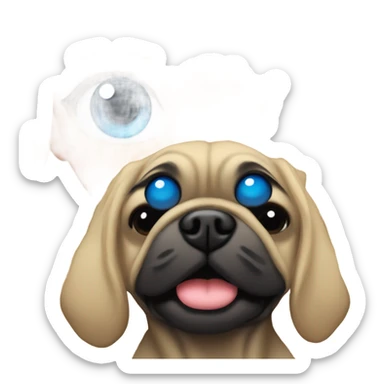 Girl with wavy blonde hair and blue eyes kissing a black pug sticker