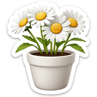 daisy flower pot sticker