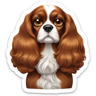 King Charles Cavalier  sticker