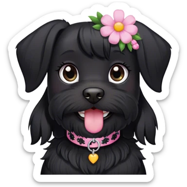 pale girl smiling with light eyes and long black hair wearing black shirt on and smiling black schnauzer with pink flower collar sticker