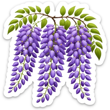 wisteria sticker