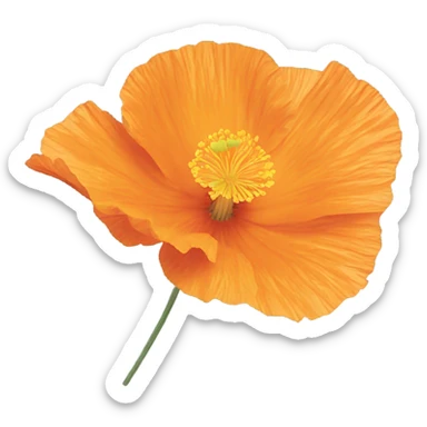California poppy sticker